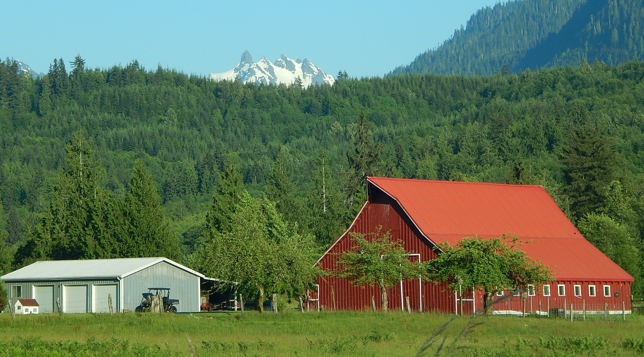 Ashton Mercer at the original farmer's market griddle where it all began in 1993
